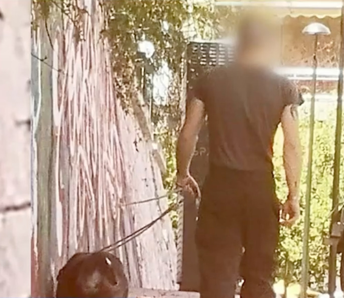 Φρίκη στον Βύρωνα:Ο άνδρας με το τατουάζ που δίνει εντολή στον σκύλο του να… Φρίκη-στον-Βύρωνα:Ο-άνδρας-με-το-τατουάζ-που-δίνει-εντολή-στον-σκύλο-του-να…