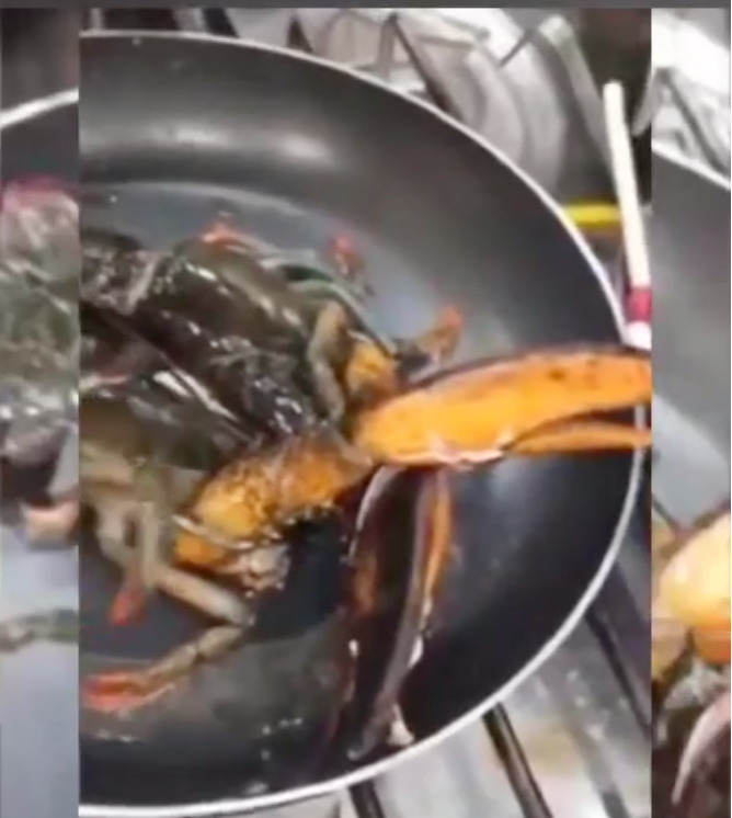 Αποκρουστικό περιστατικό – Ταβέρνα στην Αθήνα τηγανίζει… Αποκρουστικό-περιστατικό-–-Ταβέρνα-στην-Αθήνα-τηγανίζει…