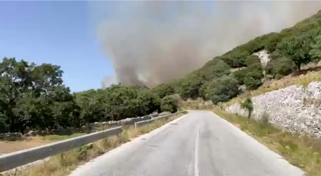 Μαίνεται η φωτιά στη Νάξο – Έρχονται ενισχύσεις από Σύρο και Αθήνα Μαίνεται-η-φωτιά-στη-Νάξο-–-Έρχονται-ενισχύσεις-από-Σύρο-και-Αθήνα