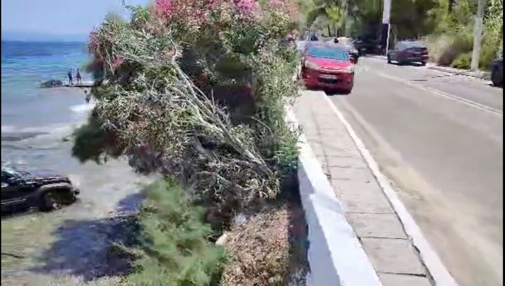 Κάλαμος: Απίστευτο τροχαίο με γνωστό μαιευτήρα – Έπεσε με το αυτοκίνητο του στη θάλασσα Κάλαμος:-Απίστευτο-τροχαίο-με-γνωστό-μαιευτήρα-–-Έπεσε-με-το-αυτοκίνητο-του-στη-θάλασσα