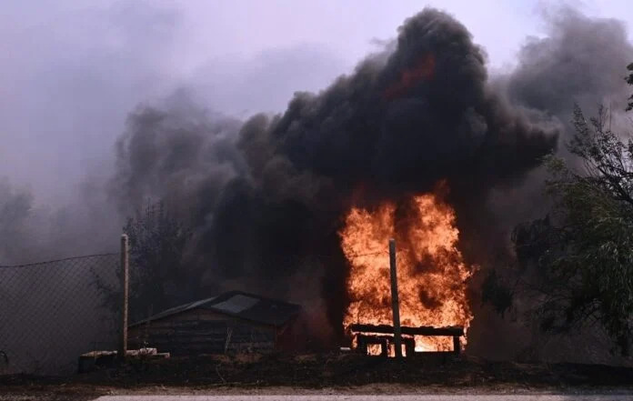 Φωτιά-Λαγονήσι: Συγκλονίζει η υπεύθυνη καταφυγίου ζώων – «Αυτή τη στιγμή θέλω να πεθάνω» Φωτιά-Λαγονήσι:-Συγκλονίζει-η-υπεύθυνη-καταφυγίου-ζώων-–-«Αυτή-τη-στιγμή-θέλω-να-πεθάνω»