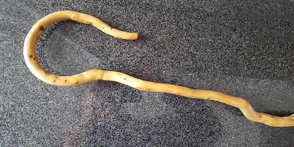 Χανιά:-Μπήκε-μέσα-στο-καφενείο-και-τον-έστειλε-νοσοκομείο-–-Τον-χτυπούσε-με-την-κατσούνα