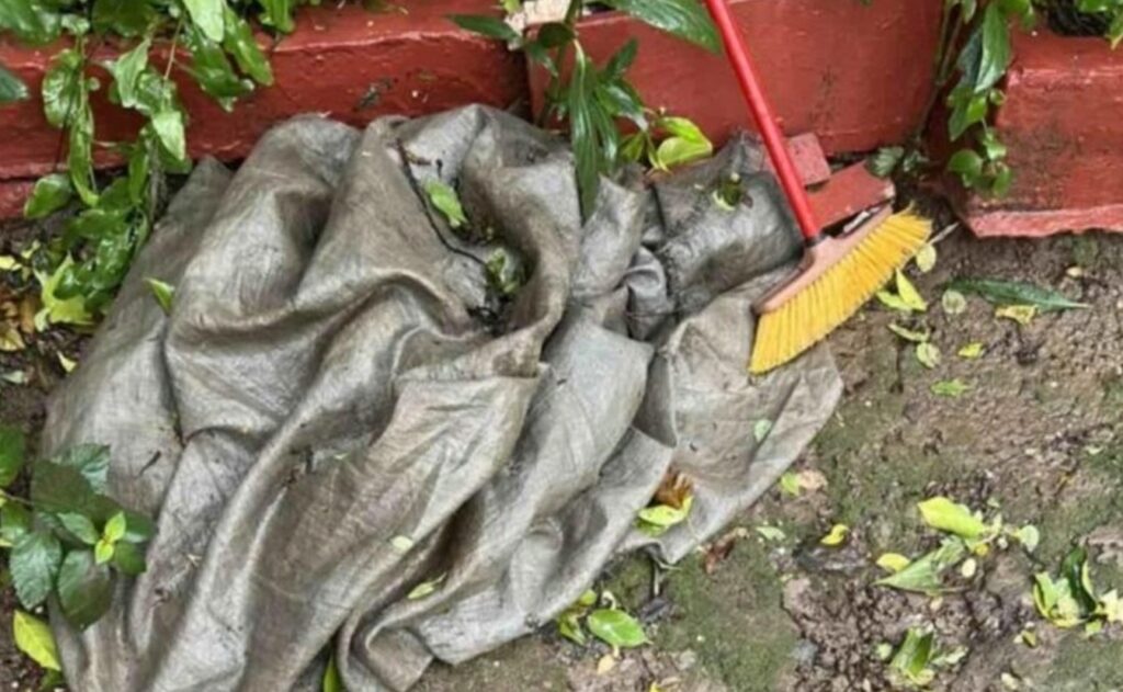 Λαμία:-Τρόμος-για-ηλικιωμένη-–-Οι-φωνές-της-ακούστηκαν-σε-όλη-τη-γειτονιά-–-Την-“κατάπιε”-το…