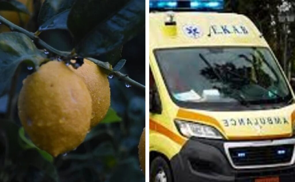 Ίλιον: Δεν το χωράει ο ανθρώπινους νους! Πήγε να κόψει δύο λεμόνια και κατέληξε στη ΜΕΘ γιατί… Ίλιον:-Δεν-το-χωράει-ο-ανθρώπινους-νους!-Πήγε-να-κόψει-δύο-λεμόνια-και-κατέληξε-στη-ΜΕΘ-γιατί…