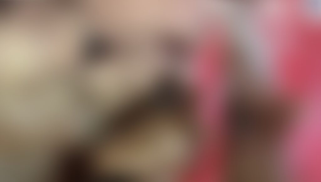 Σοκ!-Αηδιαστικά-όσα-βρέθηκαν-–-Έβαλαν-λουκέτο-σε-εστιατόριο,-γιατί-μπολ-ήταν-γεμάτα-με…-(Βίντεο)