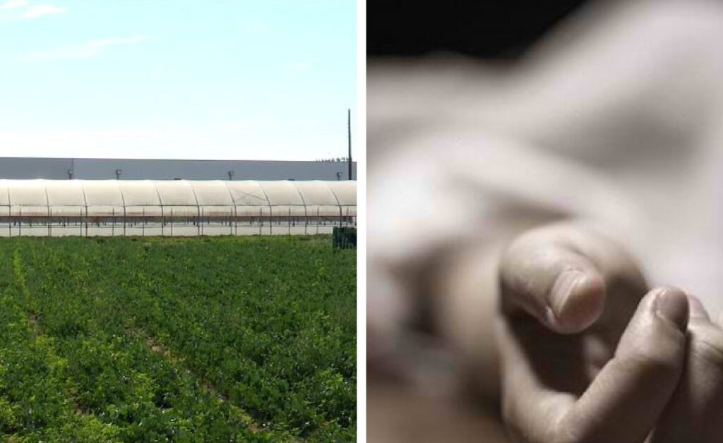 Βόλος:-Αδιανόητη-τραγωδία-σε-θερμοκήπιο!-Μόνο-σε-ταινίες-–-55χρονος-πίστεψε-ότι…