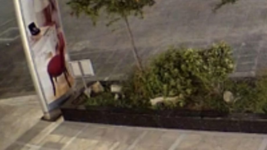 Παραλιακή: Πανικός και τρόμος στους οδηγούς – Η παρέα μέσα στο αυτοκίνητο καρφώθηκε σε κολόνα (Βίντεο σύγκρουσης)