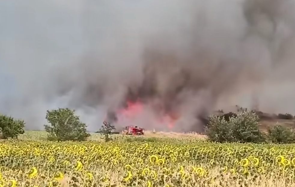 Έκτακτο-–-Μεγάλη-φωτιά-τώρα-σε-εργοστάσιο-ξυλείας-έξω-από…