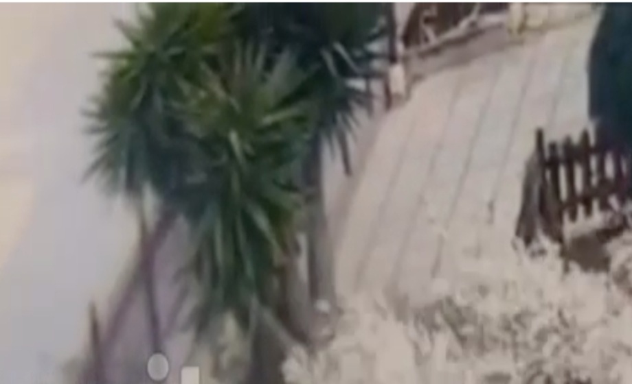 Τραγωδία-Λούτσα:-“Τι-έκαναααα…”-–-Ούρλιαζε-ο-15χρονος,-όταν-είδε-το-τραγικό-τέλος-του-φίλου-του-(Βίντεο)