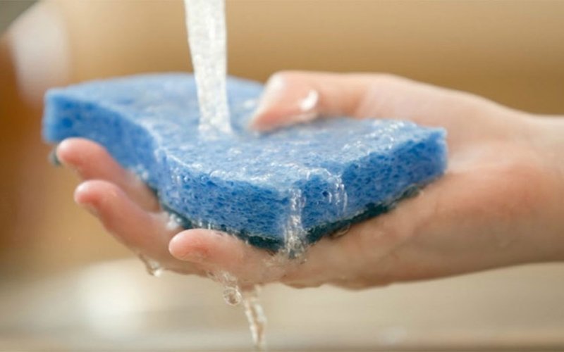 Γιατί-πρέπει-να-κόβουμε-μια-γωνία-από-το-σφουγγάρι-των-πιάτων;-Τι-διαπίστωσαν-οι-ειδικοί;