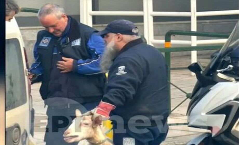 Αμπελόκηποι: Δεν θα πιστεύετε ποιος είναι ο γνωστός άντρας που είχε το παράνομο μαντρί στην ταράτσα! Σάλος… Αμπελόκηποι:-Δεν-θα-πιστεύετε-ποιος-είναι-ο-γνωστός-άντρας-που-είχε-το-παράνομο-μαντρί-στην-ταράτσα!-Σάλος…