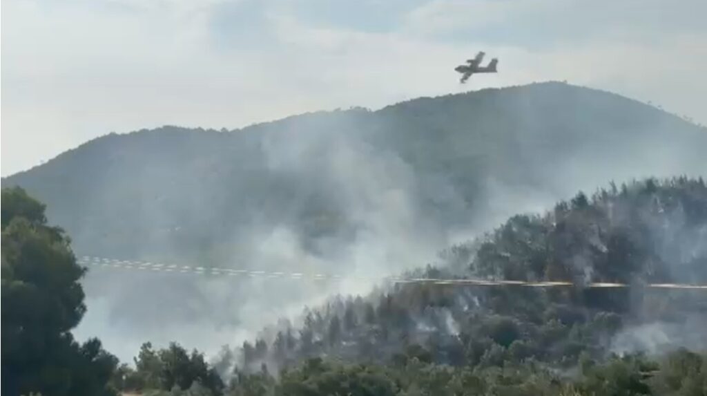 Έκτακτο – Ελλάδα: Μεγάλη φωτιά καίει κοντά σε σπίτια! Πυροσβεστική και εναέρια μέσα δίνουν μάχη! Έκτακτο-–-Ελλάδα:-Μεγάλη-φωτιά-καίει-κοντά-σε-σπίτια!-Πυροσβεστική-και-εναέρια-μέσα-δίνουν-μάχη!