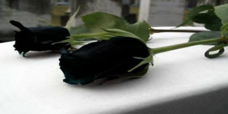 Έγινε γνωστό, πριν από λίγο – Πέθανε θρυλικός ηθοποιός του κινηματογράφου και της τηλεόρασης Έγινε-γνωστό,-πριν-από-λίγο-–-Πέθανε-θρυλικός-ηθοποιός-του-κινηματογράφου-και-της-τηλεόρασης