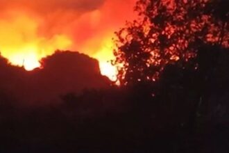 Ελλάδα:-Μαίνεται-ανεξέλεγκτη-φωτιά-–-Καίει-παρθένο-δάσος-και-πλησιάζει-την-πόλη