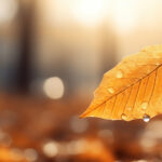 Καιρός:-Συναγερμός-στη-χώρα-για-επικίνδυνα-φαινόμενα