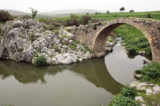 Συναγερμός!-Αυτό-εντοπίστηκε-στον-ποταμό-Ασωπό-–-“Καμπανάκι”-επιστημόνων